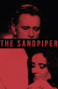 The Sandpiper