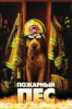 Пожарный пёс