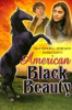 American Black Beauty